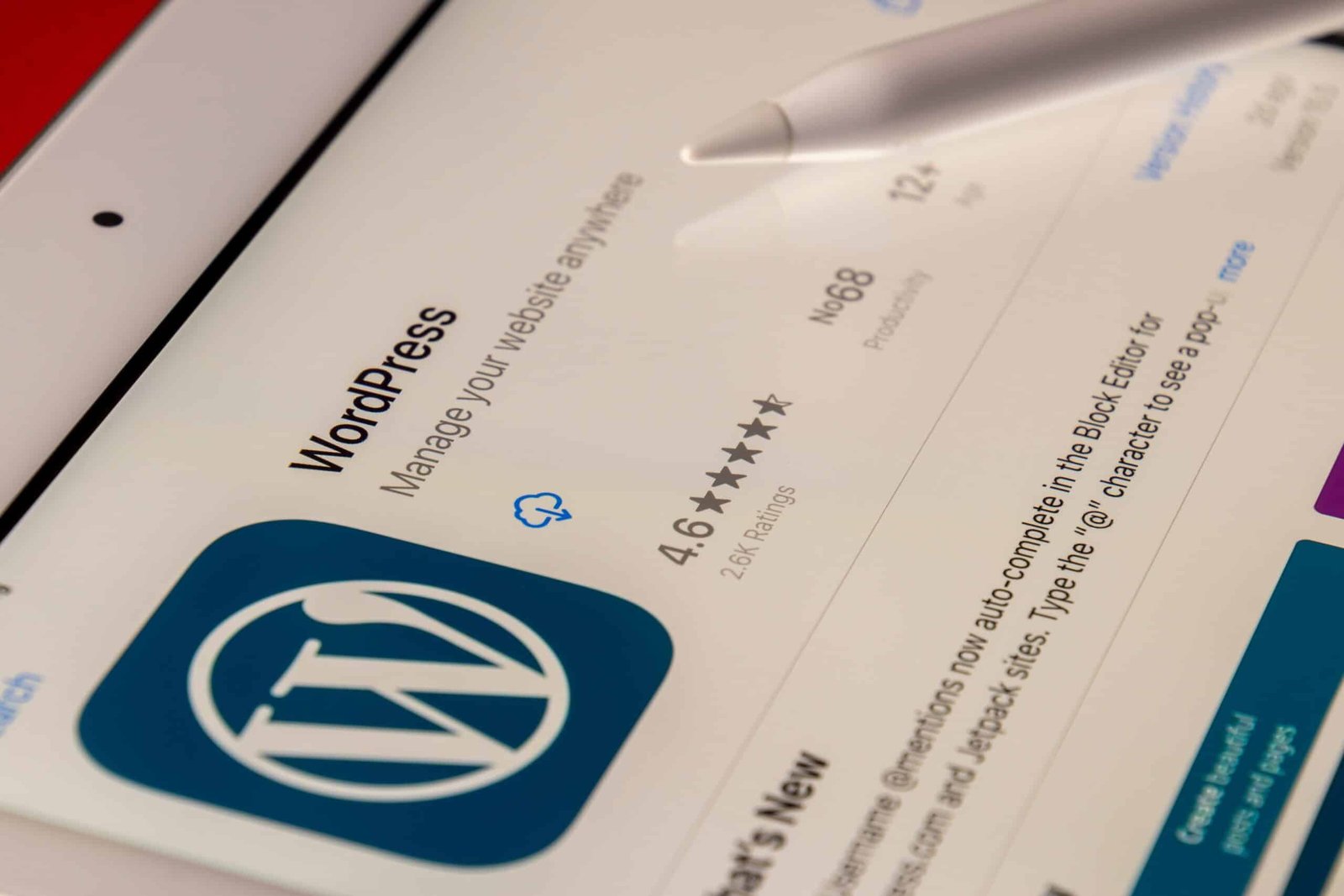 Diving into Website Development: A Beginner’s Guide to Using WordPress